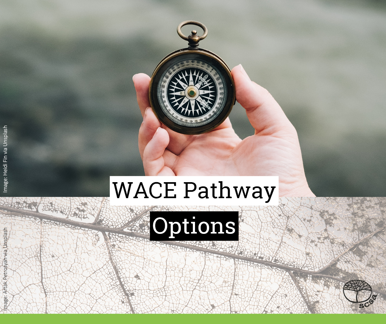 WACE pathway options